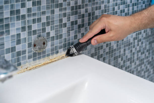 Best Black Mold Remediation in Pratt, KS