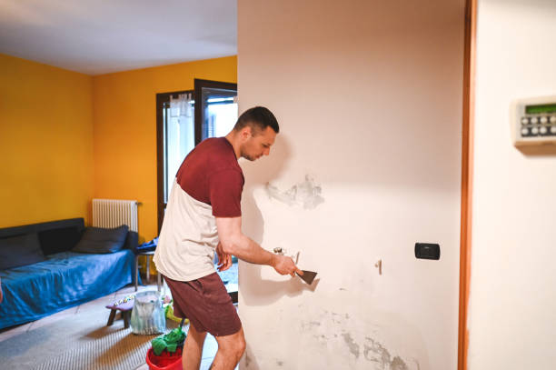 Best Commercial Mold Remediation in Pratt, KS