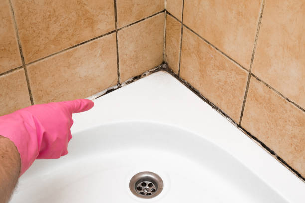 Pratt, KS Mold Remediation Company